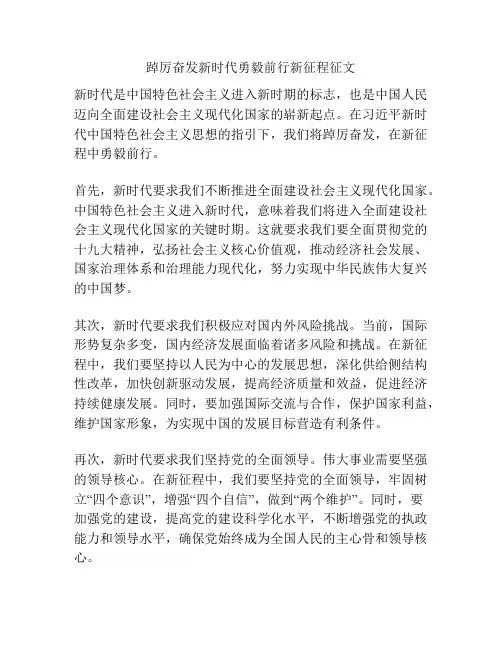 踔厉奋发新时代勇毅前行新征程征文