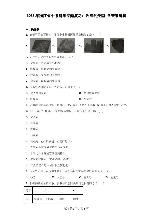 2023年浙江省中考科学专题复习：岩石的类型(含答案解析)