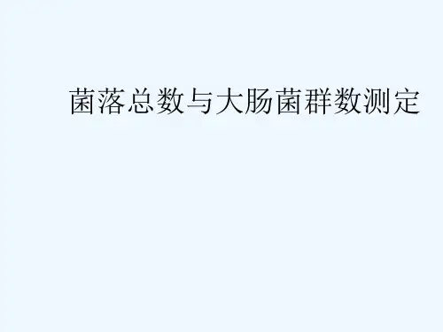 菌落总数与大肠菌群数测定 PPT