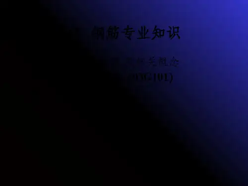 梁柱板钢筋平法标注图解(详解版)PPT课件