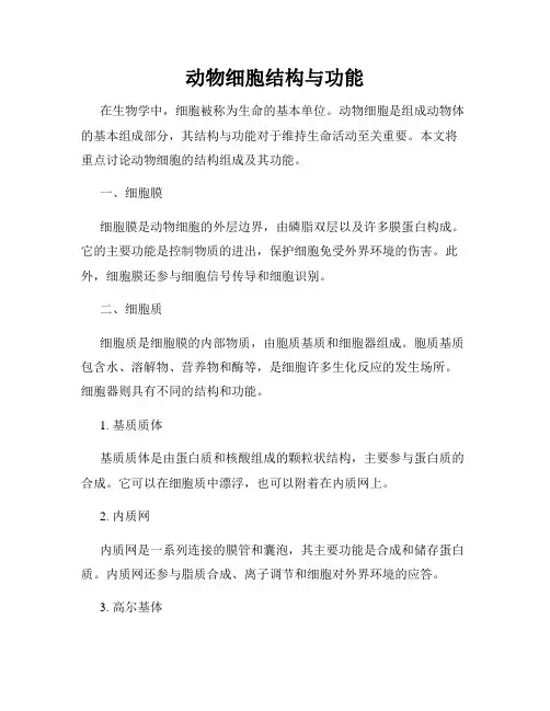 动物细胞结构与功能