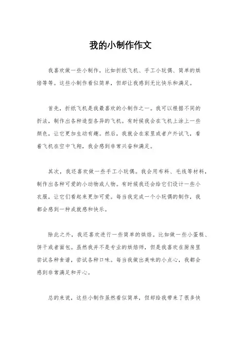 我的小制作作文