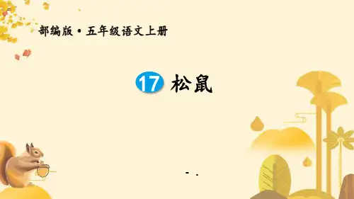 《松鼠》PPT优秀课件