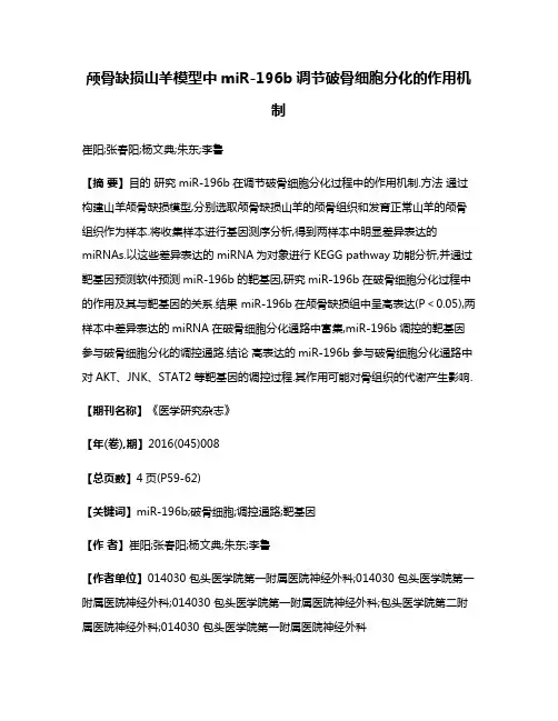 颅骨缺损山羊模型中miR-196b调节破骨细胞分化的作用机制