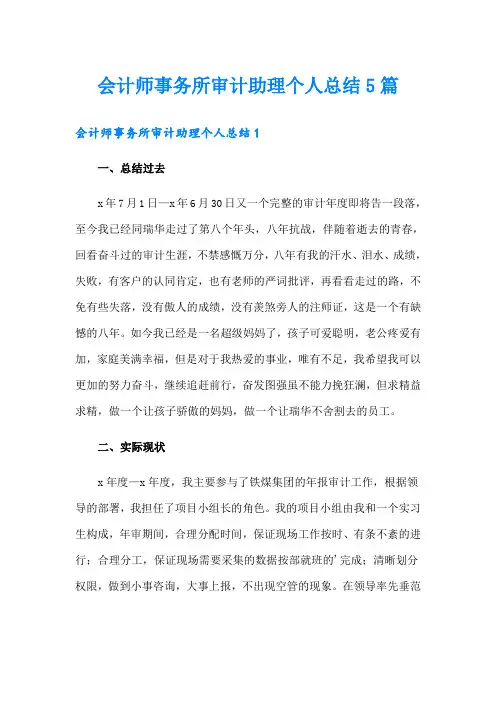 会计师事务所审计助理个人总结5篇