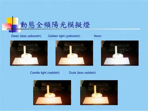 动态全频阳光模拟灯(共4张PPT)