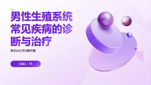 男性生殖系统常见疾病的诊断与治疗