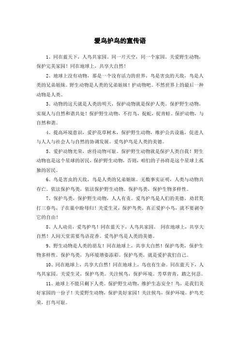 保护鸟类的宣传语50字