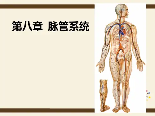 19心 (1)