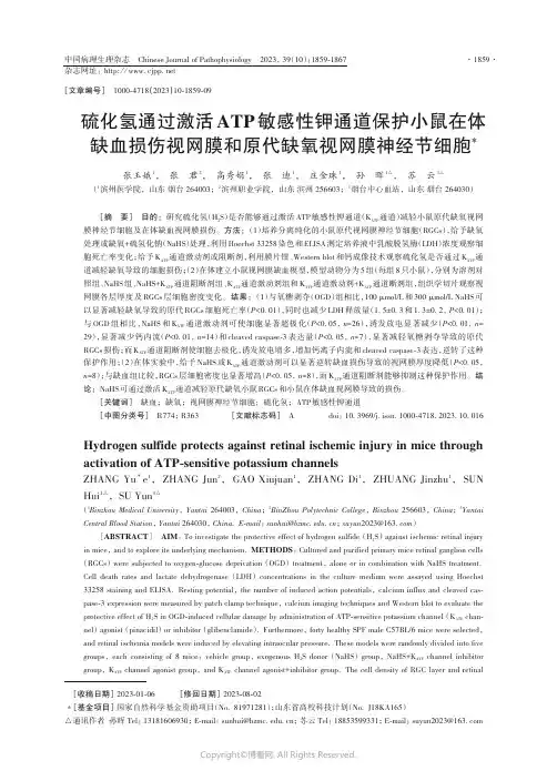 硫化氢通过激活ATP敏感性钾通道保护小鼠在体缺血损伤视网膜和原代缺氧视网膜神经节细胞