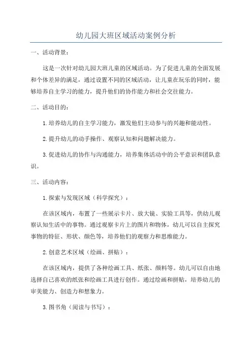 幼儿园大班区域活动案例分析