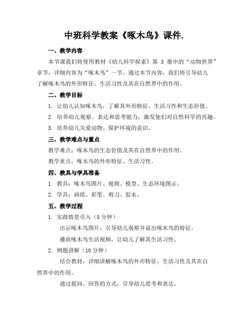 中班科学教案《啄木鸟》课件.