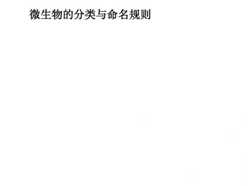 chapter02 微生物分类命名及其多样性