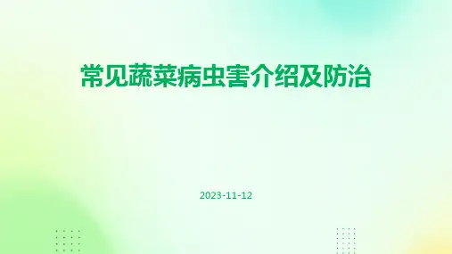 常见蔬菜病虫害介绍及防治 PPT