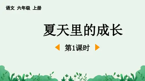 部编版六年级语文上册《夏天里的成长》授课课件