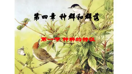 4-1 种群的特征一轮复习课件