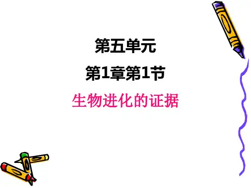 5.生物进化的证据课件(济南版)