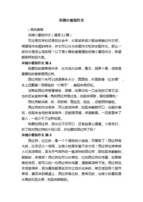 采摘小番茄作文