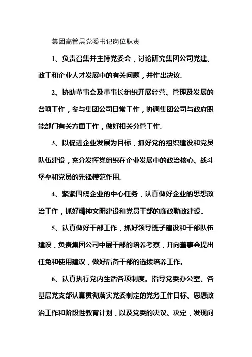 集团高管层党委书记岗位职责
