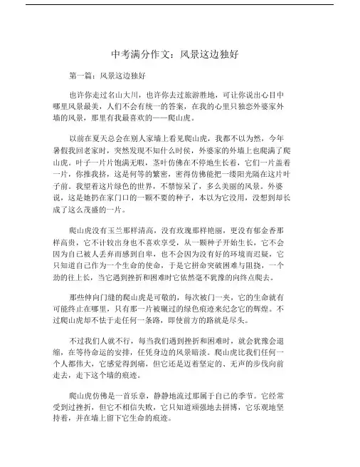 中考满分作文：风景这边独好.doc