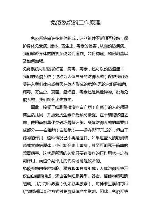 免疫系统的原理
