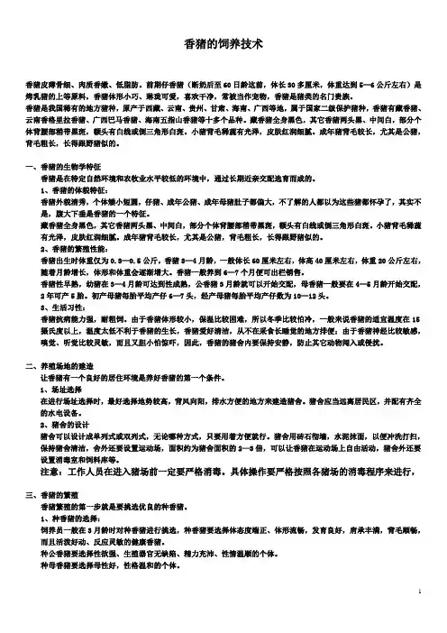 香猪饲养管理
