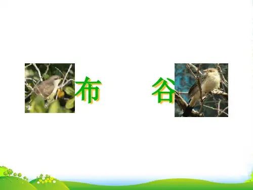 新人教版一年级音乐：《布谷》课件02