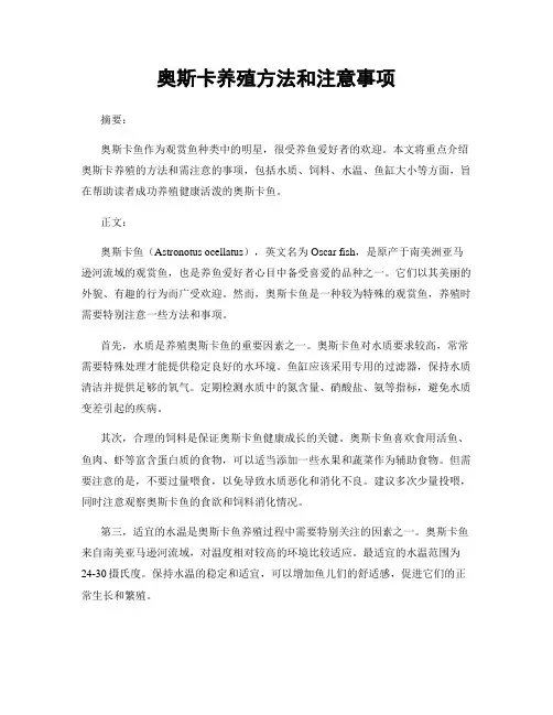 奥斯卡养殖方法和注意事项