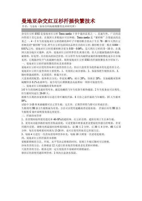曼地亚杂交红豆杉扦插快繁技术