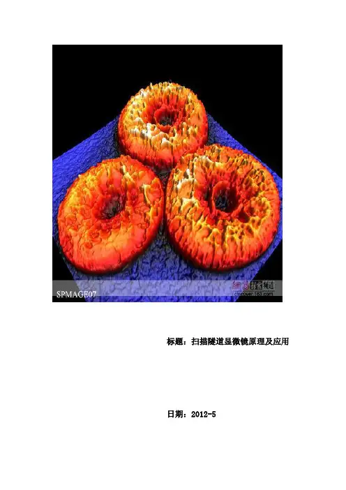 扫描隧道显微镜原理及应用