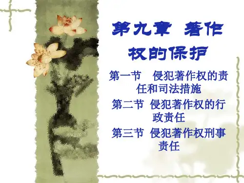 第九章著作权的保护25页PPT