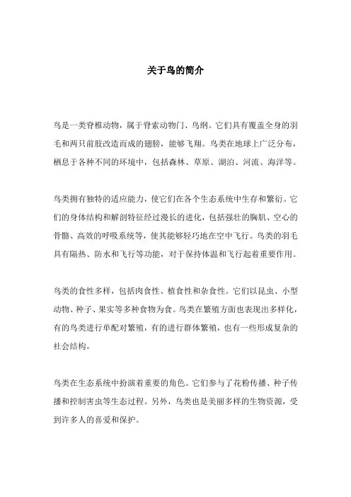 关于鸟的简介