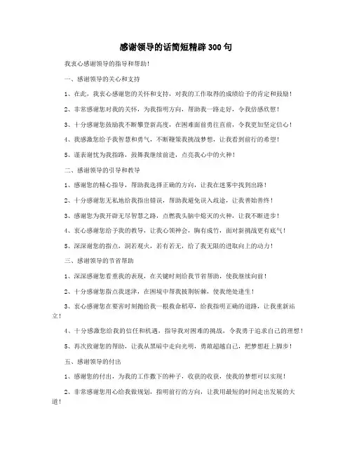 感谢领导的话简短精辟300句
