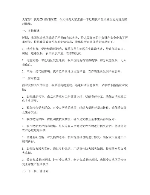 灾情报告上报发言稿范文