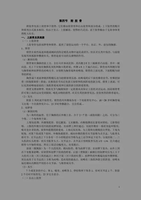 第四节附肢骨