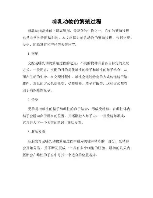 哺乳动物的繁殖过程