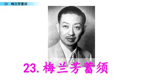 《梅兰芳蓄须》课件下载(共11张ppt)