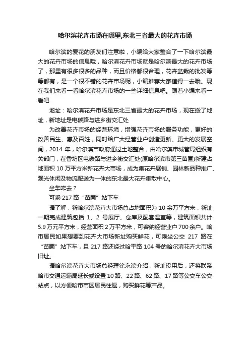 哈尔滨花卉市场在哪里,东北三省最大的花卉市场
