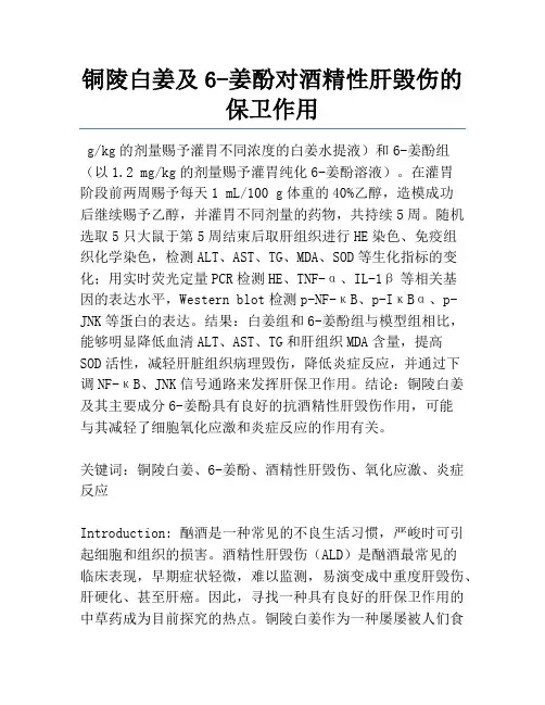铜陵白姜及6-姜酚对酒精性肝损伤的保护作用