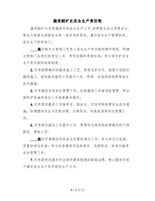 掘进副矿长安全生产责任制（5篇）