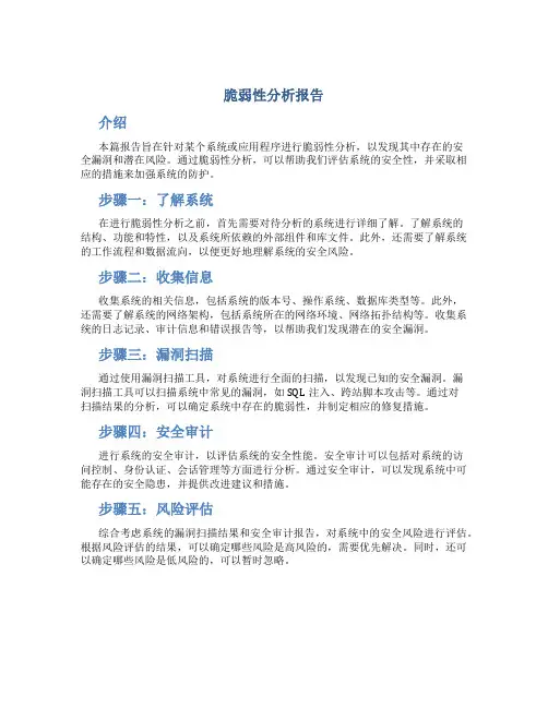 脆弱性分析报告
