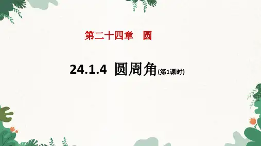 24.1.4 圆周角 人教版九年级数学上册第1课时课件