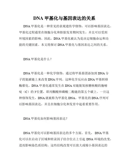 DNA甲基化与基因表达的关系
