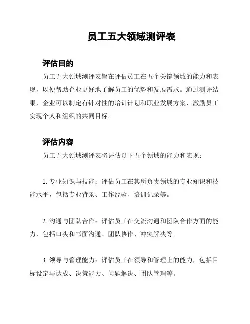 员工五大领域测评表