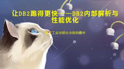 让DB2跑得更快——DB2内部解析与性能优化