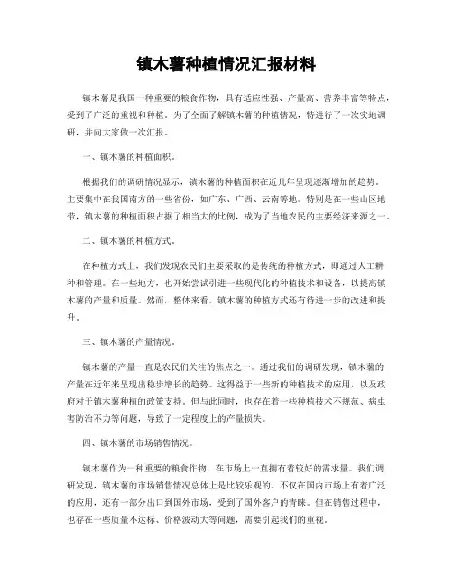镇木薯种植情况汇报材料