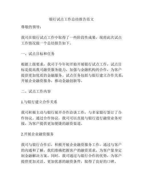 银行试点工作总结报告范文