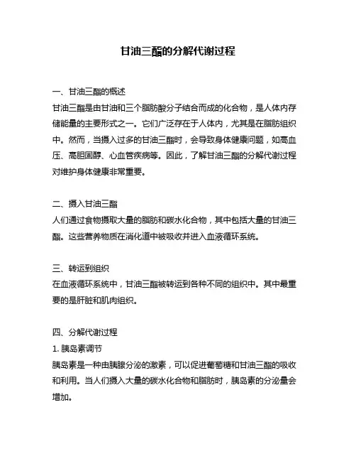 甘油三酯的分解代谢过程
