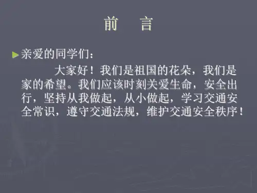 路上安全.ppt