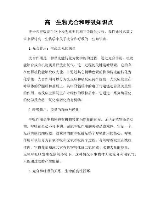 高一生物光合和呼吸知识点